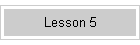 Lesson 5